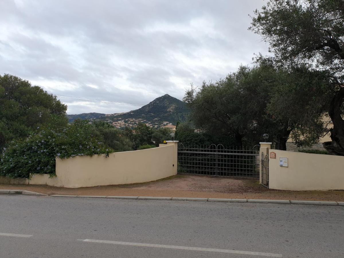 Villa Athena L'Ile-Rousse  Ngoại thất bức ảnh